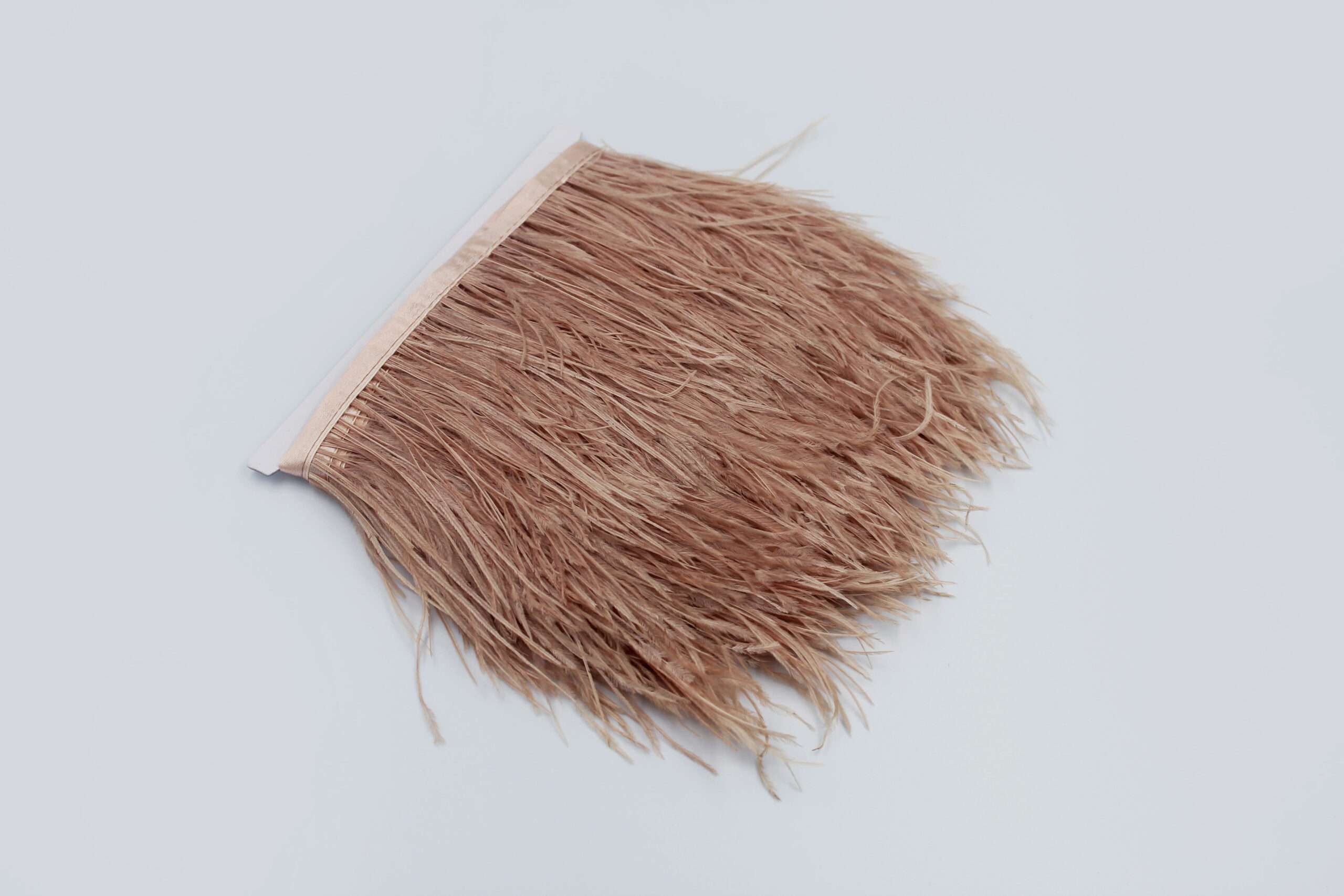 Pene de Strut Decorative pentru Rochii si Accesorii – 10 Metri/Rola